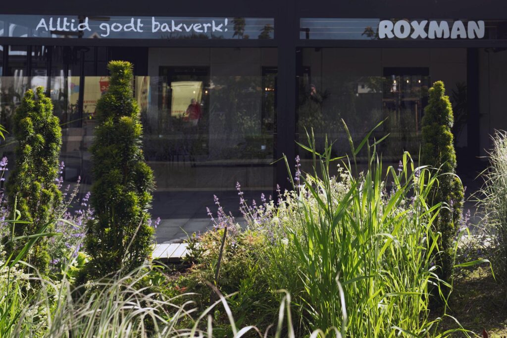 Beplantet uteområde foran Roxman ved Alti Nærbø